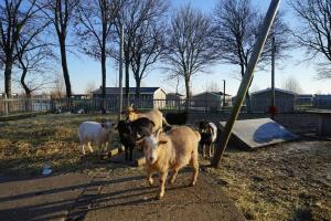Traumhaus am Wasser Mit Boot, SUPs, Angeln, Family