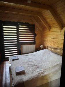 Скарби Карпат