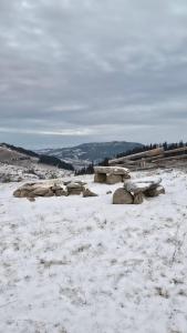 Будиночок мрії в Карпатських горах