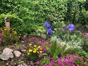 Spacious, independent apartment