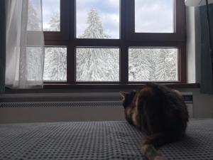 Studios and Apartments - Semiramida Gardens