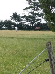 Fieldview Peaceful One Bedroom Barn Conversion Home