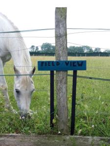 Fieldview Peaceful One Bedroom Barn Conversion Home