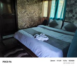Manas homestay