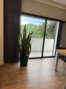 Apartamento T2 - Leiria