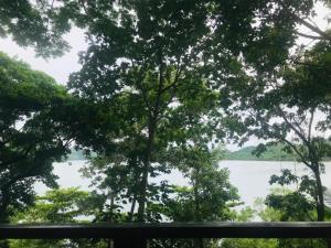 Discovery Island Resort