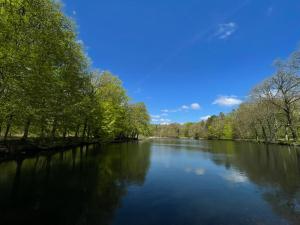 Spaceous, cozy, fully equipped in beautiful nature with lake view