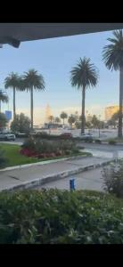 Departamento, Viña del Mar