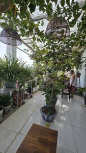 Alleyhomestay- Trần Đại Nghĩa