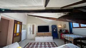 Big bright Attic-Milan Navigli