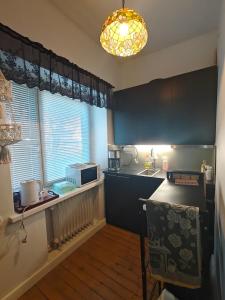 Cozy Apartment by the Isopuisto Park