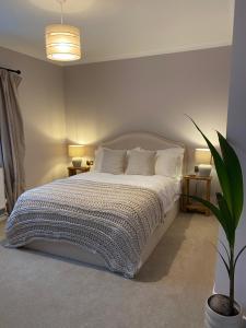 Cosy Riverside Hideaway