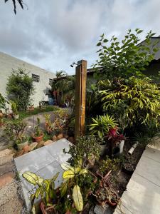 Paz no paraíso da Cachoeira