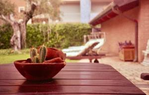 Riviera vintage estate