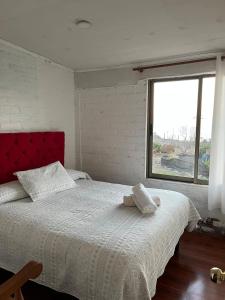 Relajo frente al mar