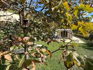 South-facing chalet 15 minutes from skiing