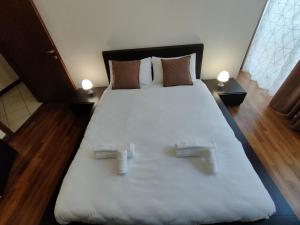 Bright Apartment in the Viale XX Settembre area