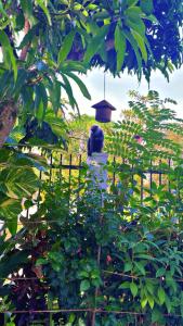 COLOMBO Eco Lodge & Wellness Centre