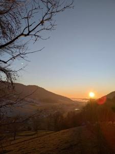 Hübsche Ferienwohnung im Herzen des Schwarzwalds