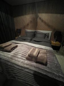 Apartment Northernlightroad