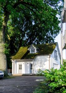 Ferienhaus Specht in Zinnowitz, Usedom
