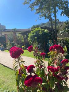 Villa Cottage Pousada