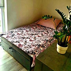 Apartment JC&S nr 77