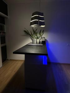 SOVA Apartment Lviv Сenter Сity