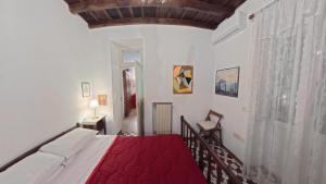 Casa Mirella near Piazza Navona, Rooftop Views