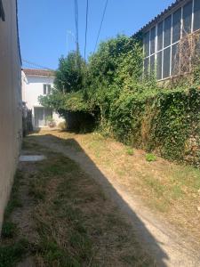 Maison - Centre-ville - équipée