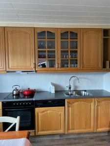 Hus i vakre Reisadalen