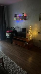 Eleonor Mountain Apartment 2