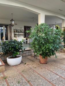 Holiday & House - Imparato Carini Costa Verde - Appartamento con ampio balcone vista mare - porzione di Villa Residenziale a pochi passi dal mare