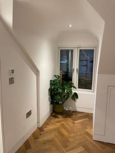 Luxury One Bed Apartment in Central Dublin D2