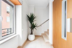 Exquisite Townhouse for up to 8 in Lisbon City Center