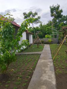 W home stay tulamben