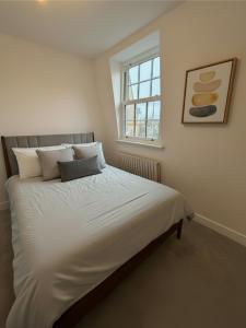 Stunning New 3-bedroom 3-bathroom Fully Furnished Duplex near Camden Town and Emirates Stadium