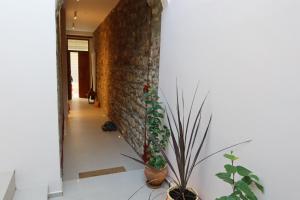 Heritage Stone and Style Villa with Private Parking and Jacuzzi