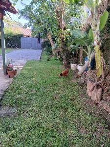 aconchegante casa na praia do Campeche