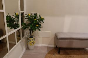 Old Town Suites Muradie