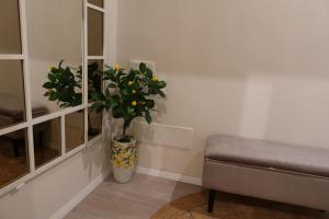 Old Town Suites Muradie