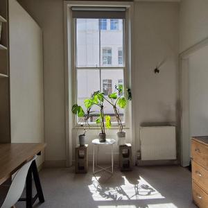 My Home in Marylebone