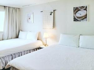 다시오다 Dasioda