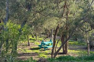 Ukiyo Nature Retreat - Olive