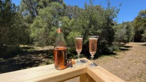 Ukiyo Nature Retreat - Olive