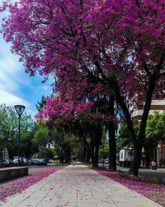 Departamento a Mts Bv Galvez, cerca de todo