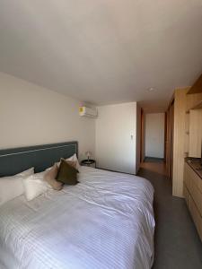 Departamento Italia Providencia