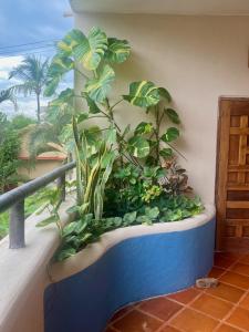 Luna - Casa MoJos delightful 1BR, kitchen, pool