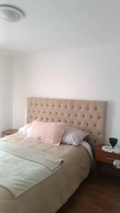 Santiago San Cristobal Entel View