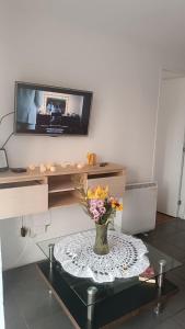 Santiago San Cristobal Entel View